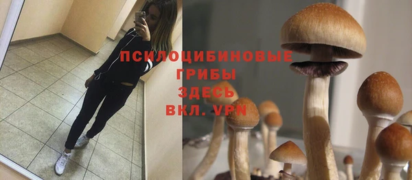 Альфа ПВП Белоозёрский