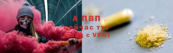 индика Беломорск