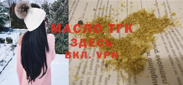 индика Беломорск