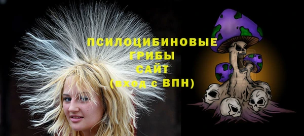 индика Беломорск