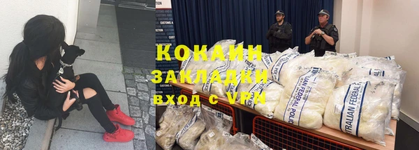 индика Беломорск