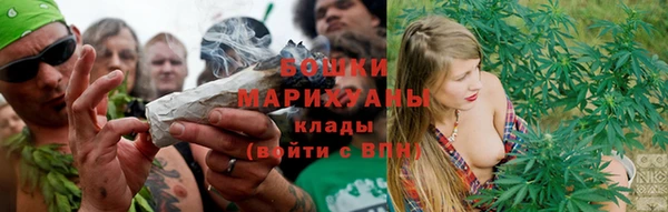 ПСИЛОЦИБИНОВЫЕ ГРИБЫ Баксан
