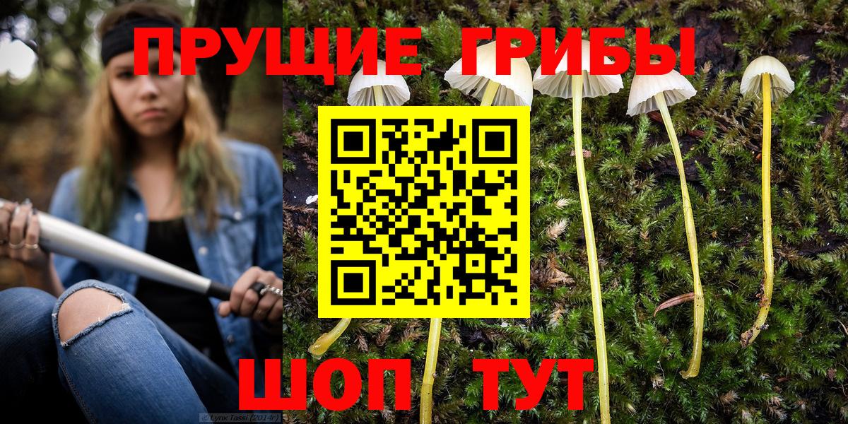 Галлюциногенные грибы Psilocybine cubensis  Вход с VPN  Бузулук 