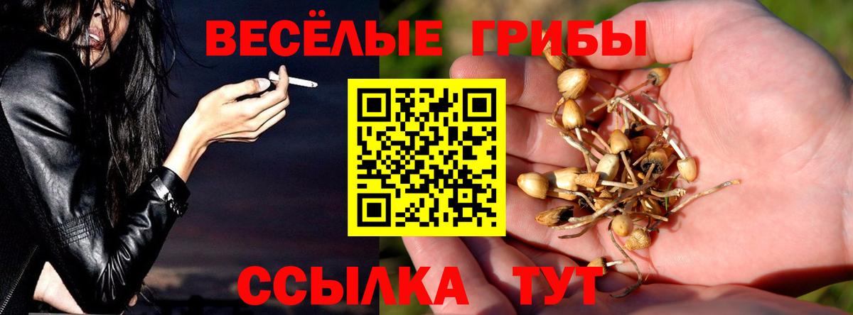 Галлюциногенные грибы Magic Shrooms Бузулук