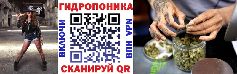 Бошки Шишки сатива Бузулук